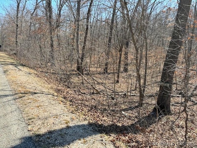 1144 Spring Creek Dr, Porto Cima, MO 65079 - photo 2
