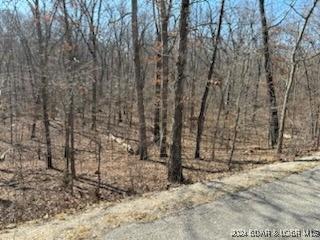 1144 Spring Creek Dr, Porto Cima, MO 65079 - photo 5