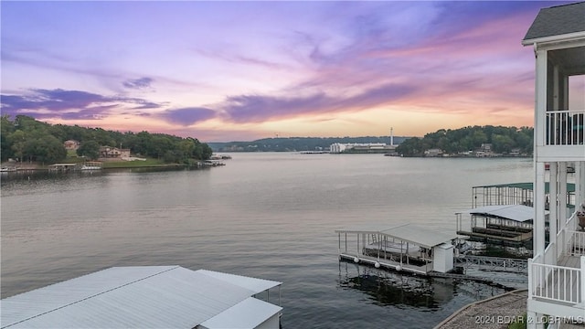 dock area with a water view