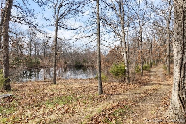 view of yard featuring a water view