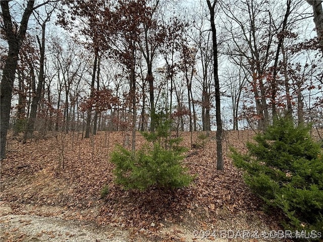 Listing photo 2 for LOT1047 Heritage Isle, Sunrise Beach MO 65079