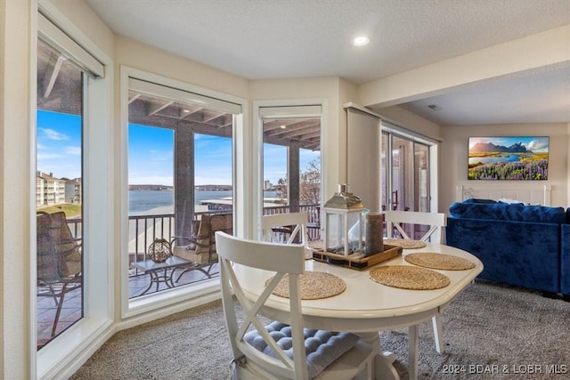 carpeted dining area with a textured ceiling