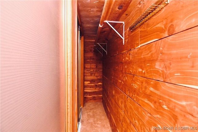 26 Gap Rd, Tunas, MO 65764 - spacious closet featuring carpet flooring
