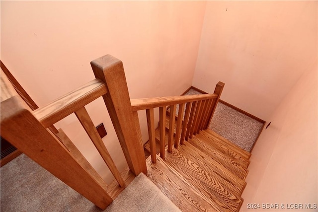 26 Gap Rd, Tunas, MO 65764 - stairs featuring carpet floors and baseboards