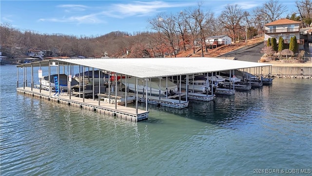 dock area with a water view