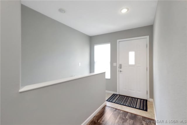 entryway featuring wood-type flooring