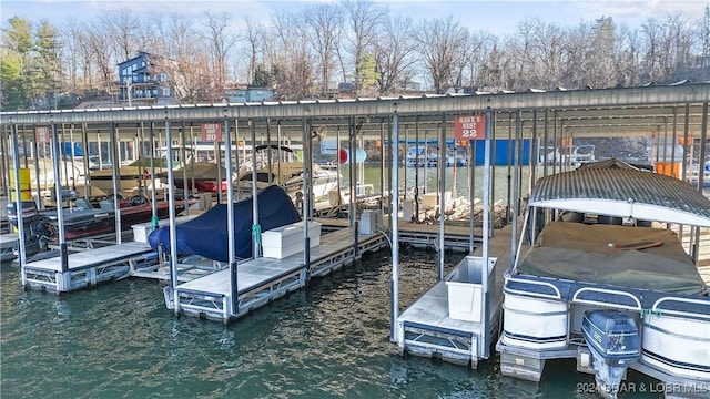 dock area with a water view