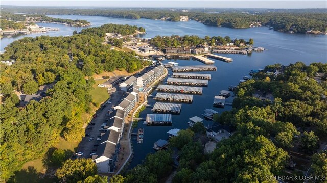 aerial view with a water view and a wooded view