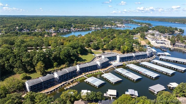 bird's eye view with a wooded view and a water view