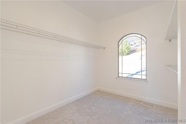 spacious closet with light carpet