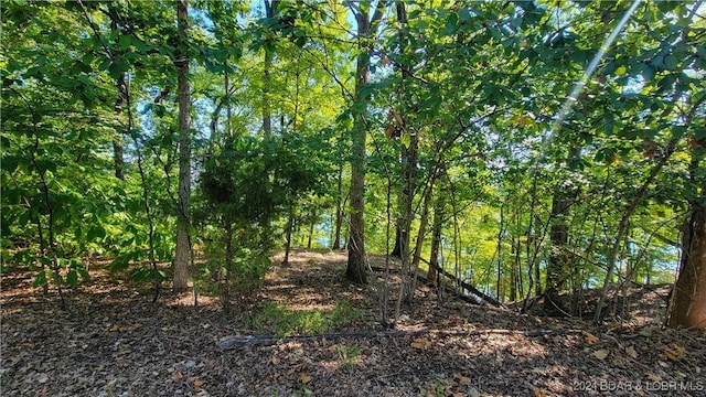 Listing photo 2 for LOT123 Waterford Ter, Porto Cima MO 65079