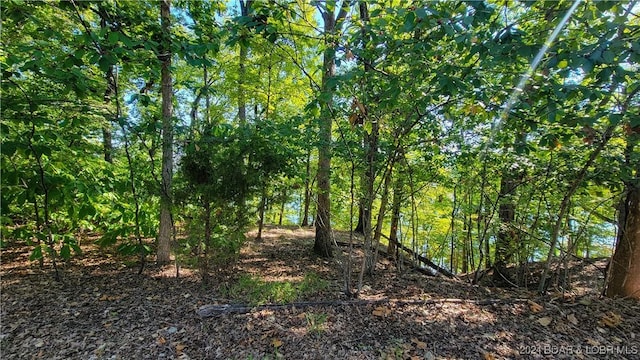 LOT123 Waterford Ter, Porto Cima, MO 65079 - photo 2