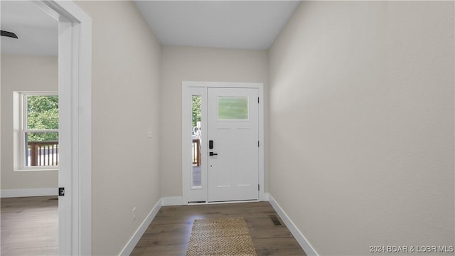 entryway featuring hardwood / wood-style flooring