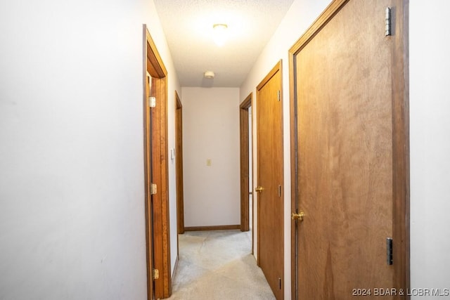 hallway featuring light carpet