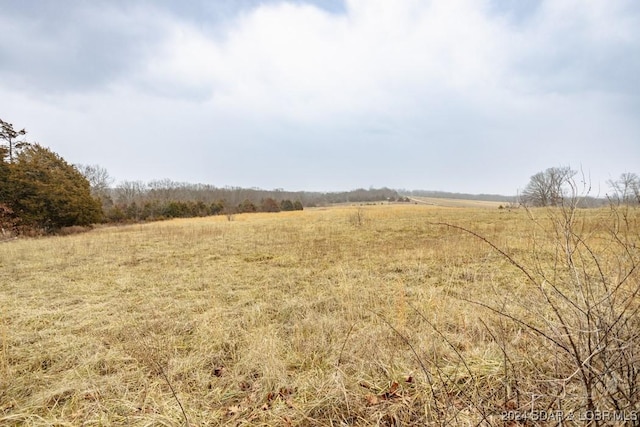 view of local wilderness with a rural view