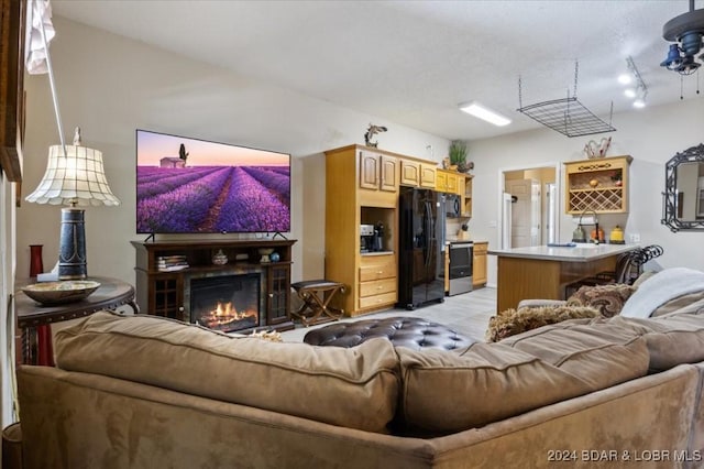 living room featuring sink