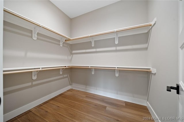 walk in closet featuring wood-type flooring