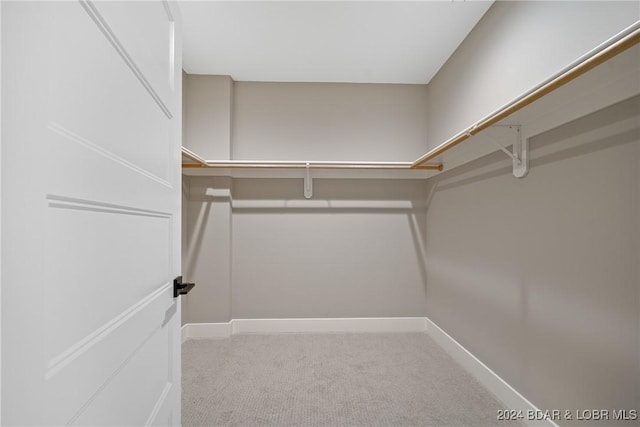 spacious closet with light colored carpet