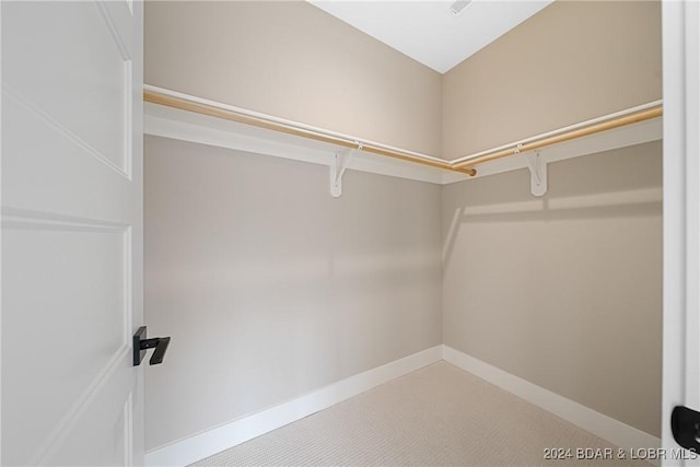 spacious closet with carpet flooring