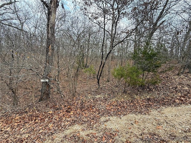 Listing photo 2 for LOT904 Murfield Dr, Sunrise Beach MO 65079