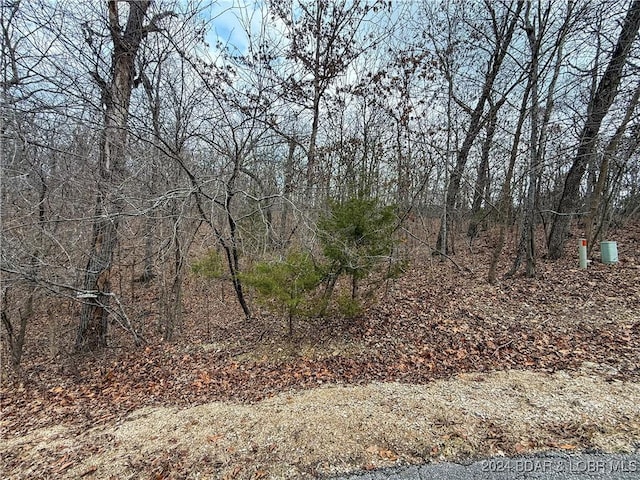 Listing photo 3 for LOT904 Murfield Dr, Sunrise Beach MO 65079