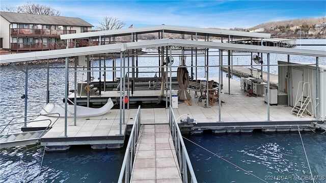 dock area with a water view