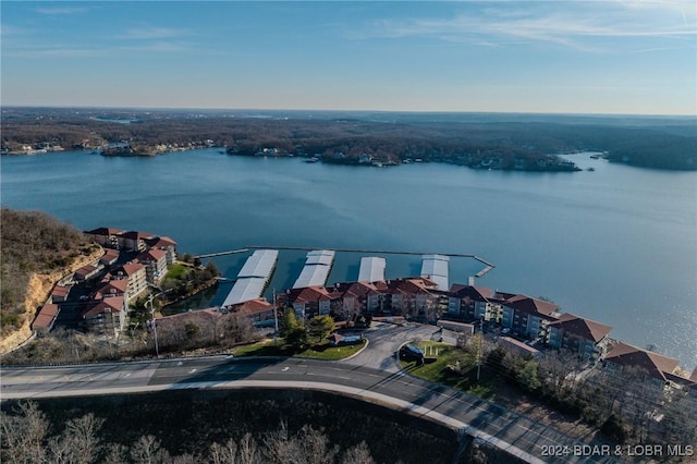 drone / aerial view with a water view