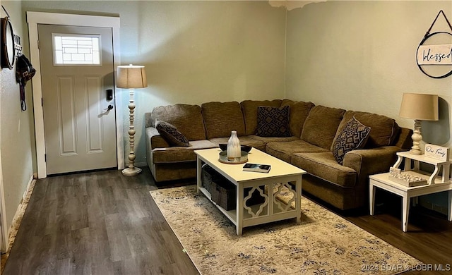 living room with dark wood-type flooring