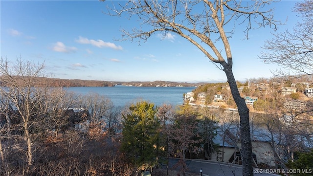469 Staniel Cay Dr, Osage Beach, MO 65065 - water view