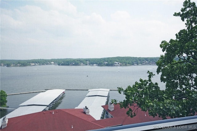 view of dock with a water view