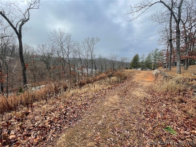 Listing photo 3 for TBD Cape Woods Dr, Linn Creek MO 65052