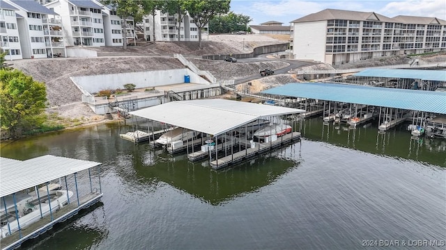 dock area with a water view