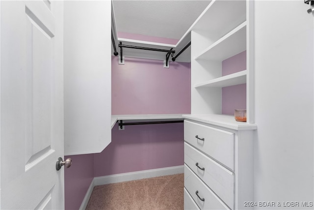 spacious closet with light carpet