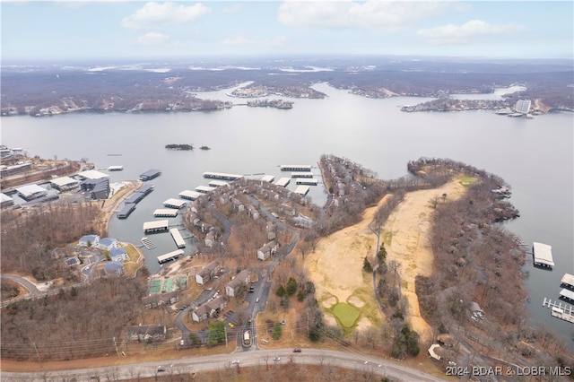 aerial view with a water view