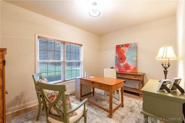 office area featuring hardwood / wood-style flooring