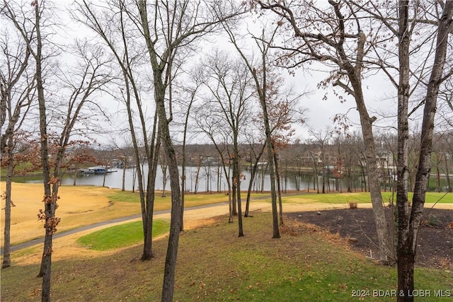 view of property's community with a water view