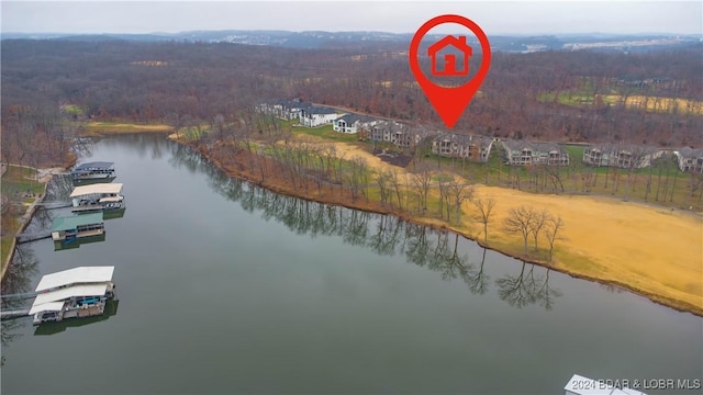 bird's eye view with a water view and a view of trees