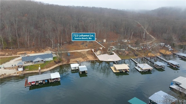 bird's eye view with a water view and a view of trees