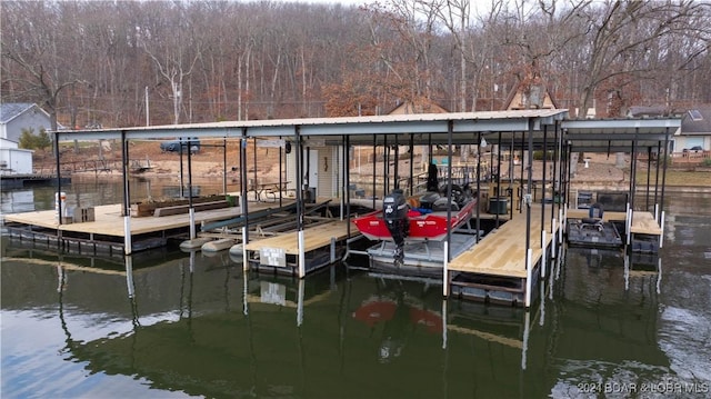 dock area with a water view