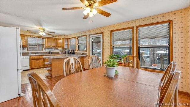 dining area featuring light wood-type flooring, wallpapered walls, and a ceiling fan