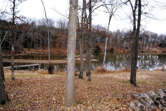 property view of water