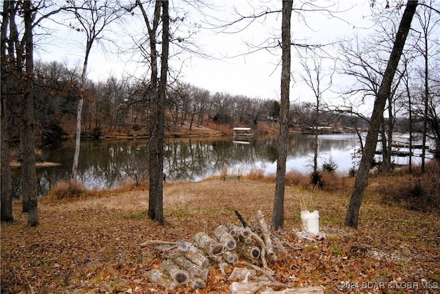 view of water feature