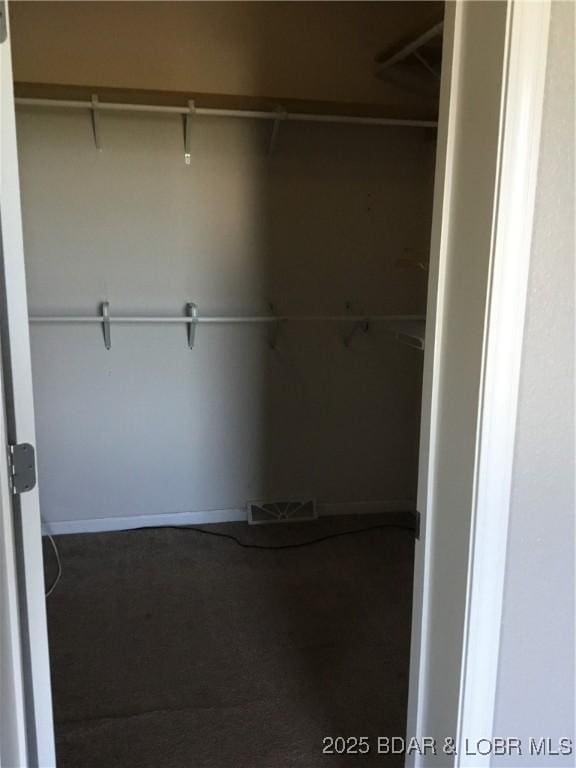 view of walk in closet