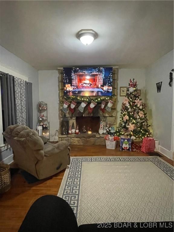 living room featuring wood-type flooring and a stone fireplace