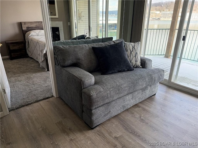 living room with hardwood / wood-style flooring and plenty of natural light