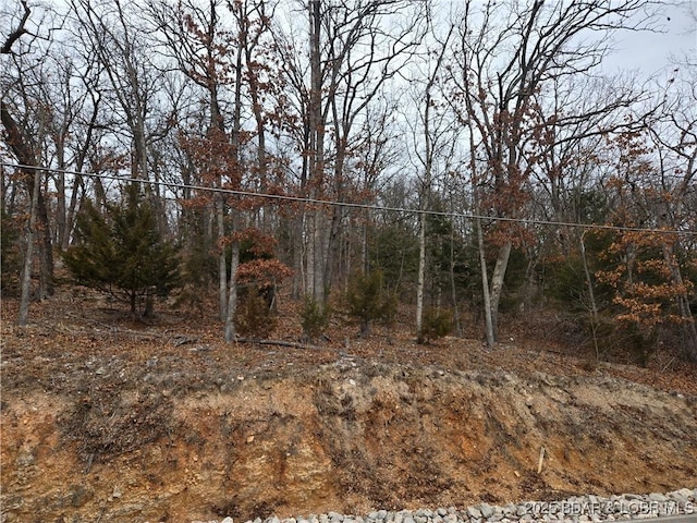 Listing photo 2 for LOT179 Navajo Rd, Four Seasons MO 65049