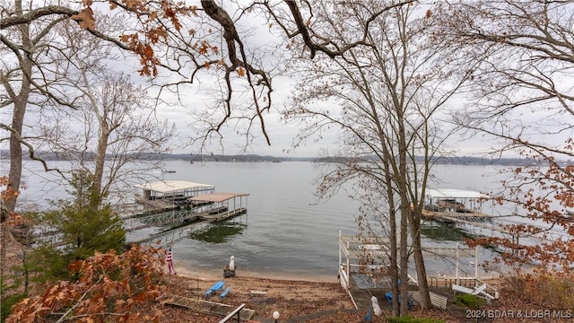 view of water feature with a dock