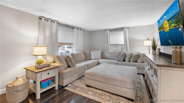 living room featuring dark wood-type flooring