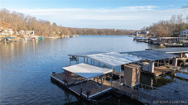 dock area with a water view