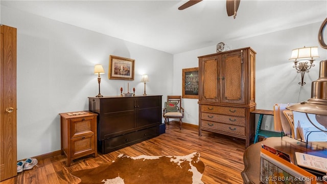 sitting room featuring dark wood-type flooring